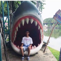 Disha patani's brother
