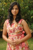 Nisha shah