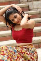 Punarnavi bhupalam