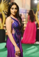 Regina cassandra
