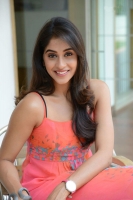 Regina cassandra