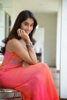 Regina cassandra