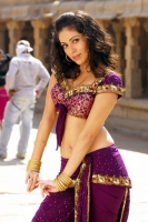 Sadha