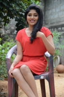 Samyukta hornad