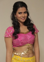 Sharmiela mandre