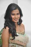 Sharmiela mandre