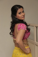 Sharmiela mandre