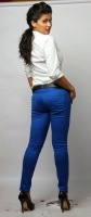Sharmiela mandre