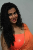 Sharmiela mandre