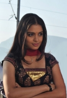 Sheena shahabadi