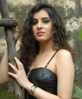Veda sastry