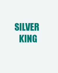 Silver King