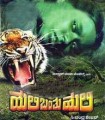 Huli Banthu Huli Movie Poster