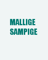Mallige Sampige