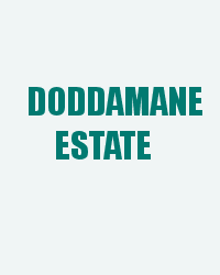 Doddamane Estate