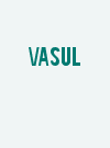 Vasul