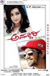 Addhoori Movie Poster