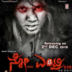 No Entry Movie Poster