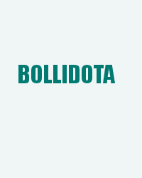 Bollidota