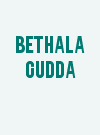 Bethala Gudda