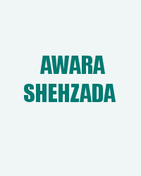 Awara Shehzada