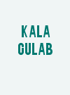 Kala Gulab