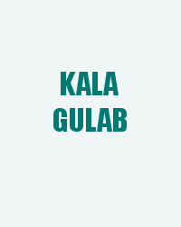 Kala Gulab